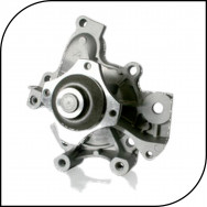 Water Hoses & Pumps