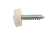 CONNECT Number Plate Security Screw-White Pack 100