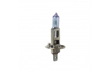 12V 55W H1 Bulbs XENON Halogen Bulbs PAIR (2)