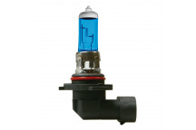 12V 42W H10 Bulbs BLU-XE Ultra White Halogen Bulbs PAIR (2)