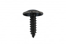CONNECT Metal Trim Fastener Torque Screw to suit VW Pk 10