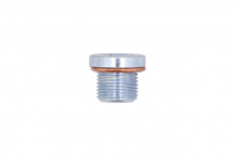 CONNECT Sump Plug & Washer - for Peugeot, Renault