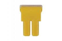 CONNECT 60 AMP Female PAL Slow Blow Fuses (10)