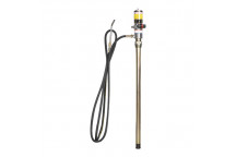 Air-Operated Oil Pump Kit With Hose With Dispensing Gun