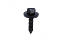 CONNECT Black Hex-Head Body Screw with Washer - for Vauxhall