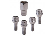 Carpoint Lock Nuts TYPE:B