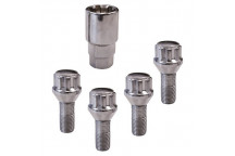 Carpoint Lock Nuts TYPE:D