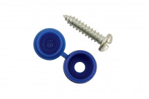 CONNECT Number Plate Security Screw-Blue Pack 100