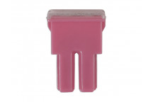 CONNECT 30 AMP Female PAL Slow Blow Fuses (10)