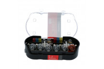 12V 60/55W H4 Bulbs Spare Bulb Kit (30)