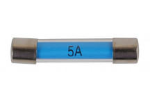 CONNECT 5 AMP Glass Auto Fuses (100)