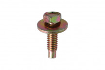 CONNECT Black Hex-Head Body Screw with Washer - for Ford 50p