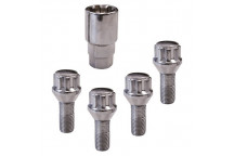 Carpoint Lock Nuts TYPE:C