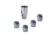 Carpoint Lock Nuts TYPE:F