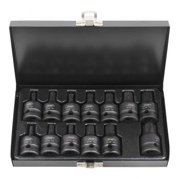 13 Piece 1/2 Hexagonal And Torx Impact Bit Set"