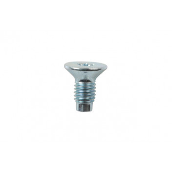 CONNECT Fixing Screws For Disc & Drum Brakes M8 x 1.25mm 10p