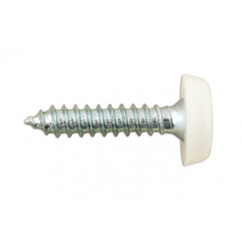 CONNECT Number Plate Screw White No 10 x 1 Pk 100