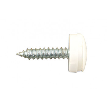 CONNECT Number Plate Self-Tappers No.8 x 3/4in. White Pk 100