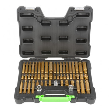 55 Pieces Mechanics Bit Set Hex, 12-Point, Torx, And Ribe (H