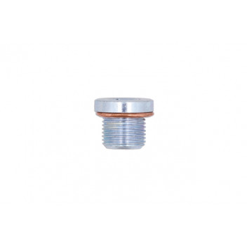 CONNECT Sump Plug & Washer - for Peugeot, Renault