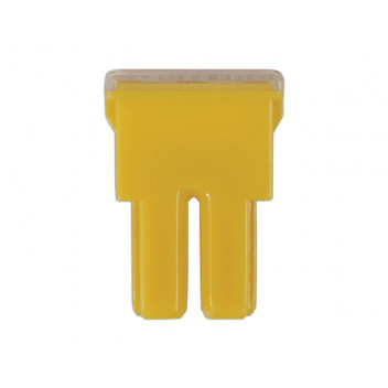 CONNECT 60 AMP Female PAL Slow Blow Fuses (10)