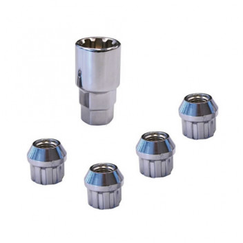 Carpoint Lock Nuts TYPE:E