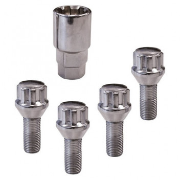 Carpoint Lock Nuts TYPE:B