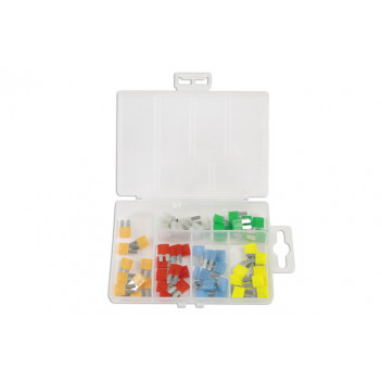 CONNECT Assorted MICRO 2 Blade Fuses (60)