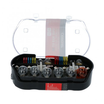 12V 60/55W H4 Bulbs Spare Bulb Kit (30)