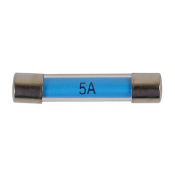 CONNECT 5 AMP Glass Auto Fuses (100)