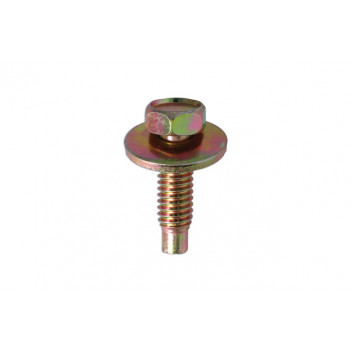 CONNECT Black Hex-Head Body Screw with Washer - for Ford 50p