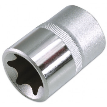 LASER Star Socket 1/2D - E24"