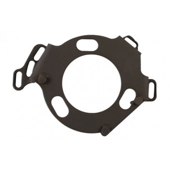 LASER Fuel Pump Locking Tool - GM/Renault/Nissan
