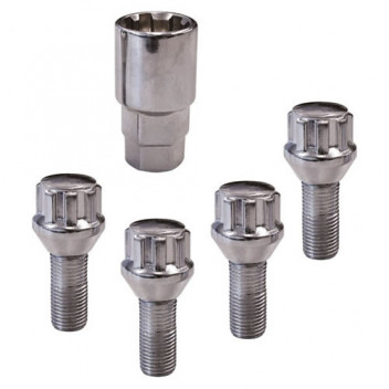 Carpoint Lock Nuts TYPE:C