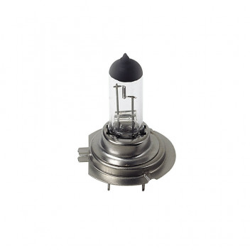 12V Halogen lamp - (H7) - 100W - PX26d - 1 pcs