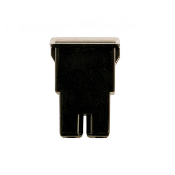 CONNECT 80 AMP Female PAL Slow Blow Fuses (10)