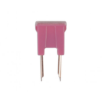 CONNECT 30 AMP Male Pin PAL Slow Blow Fuses (10)