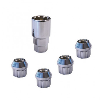Carpoint Lock Nuts TYPE:F