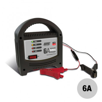 6A 12V LED Automatic Battery Charger